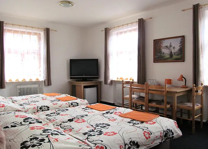 Stary Mlyn - Wellness V Ceskem Raji 3*