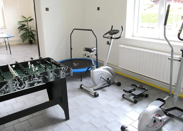 Gasthof Stary Mlyn - Wellness V Ceskem Raji