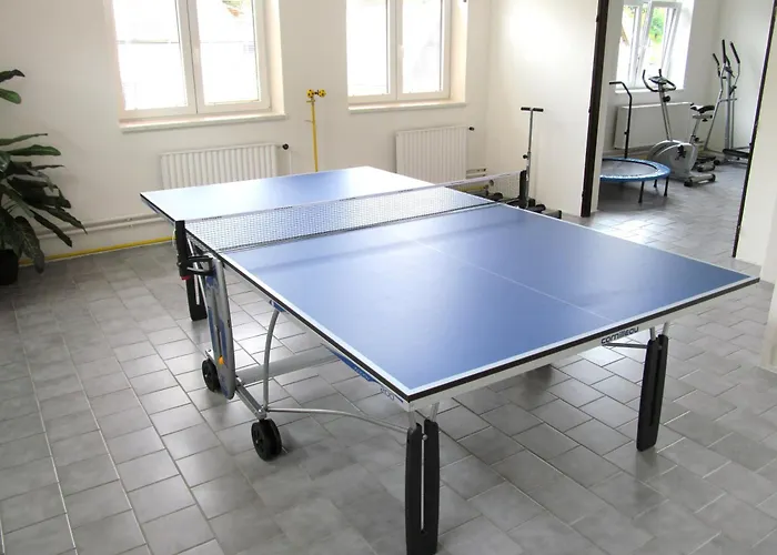 Gasthof Stary Mlyn - Wellness V Ceskem Raji 3*